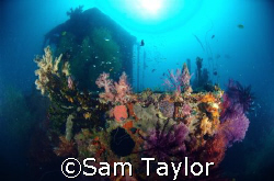 Wreck of the Henry Leith Madang province PNG by Sam Taylor 